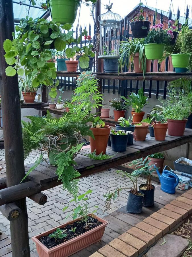 Apartment Stunning In Gorgeous Garden Setting Germiston